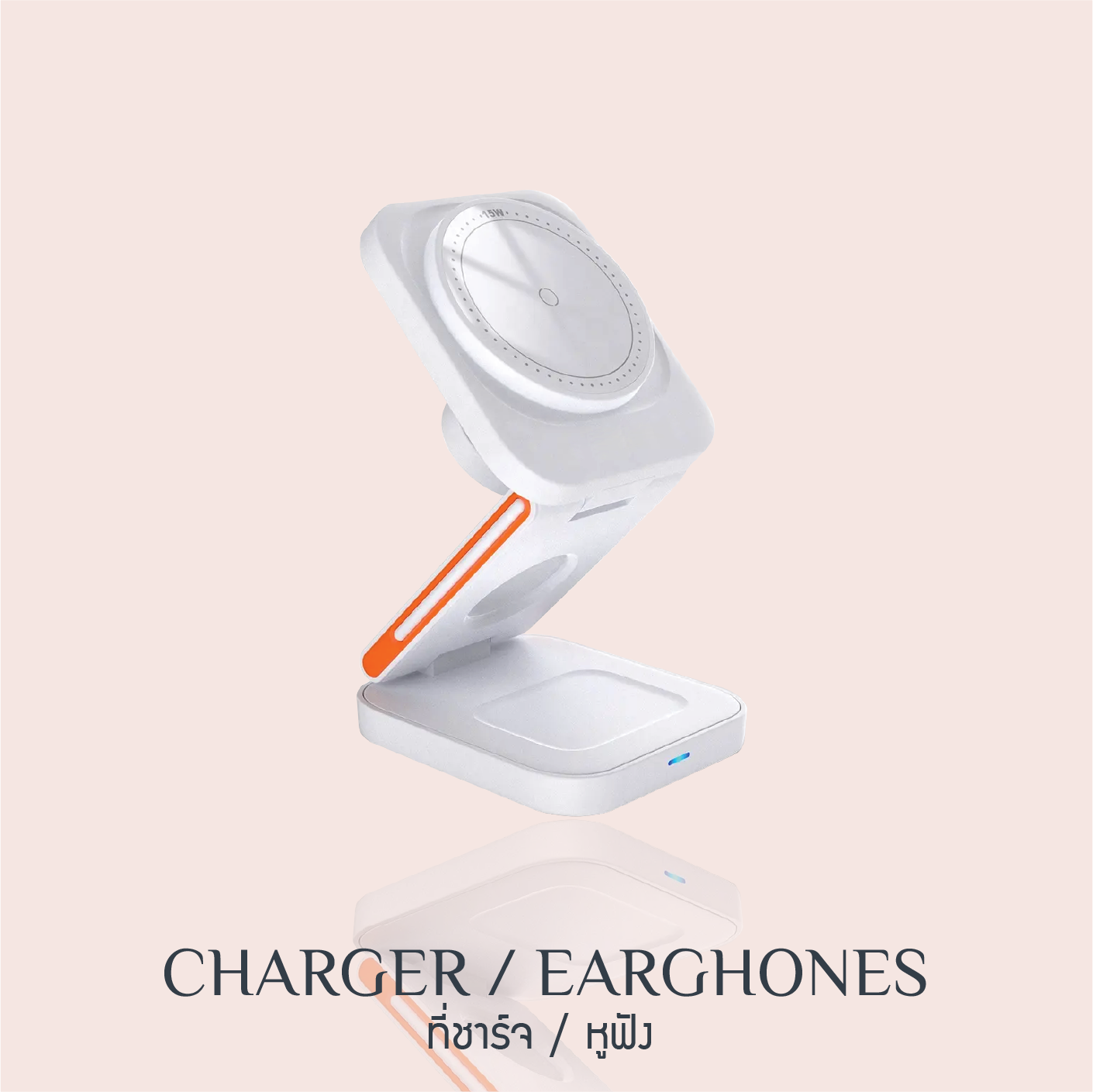 Charger / Earphones