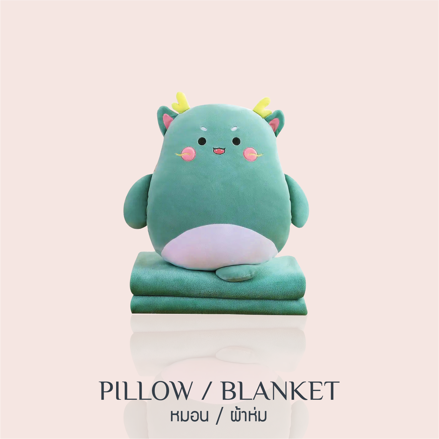 Pillow / Blanket